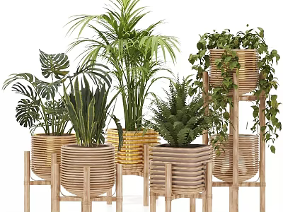Stylish Hanging Basket Plants in Wicker Planters with Wooden Stands and Lush Greenery 3d model