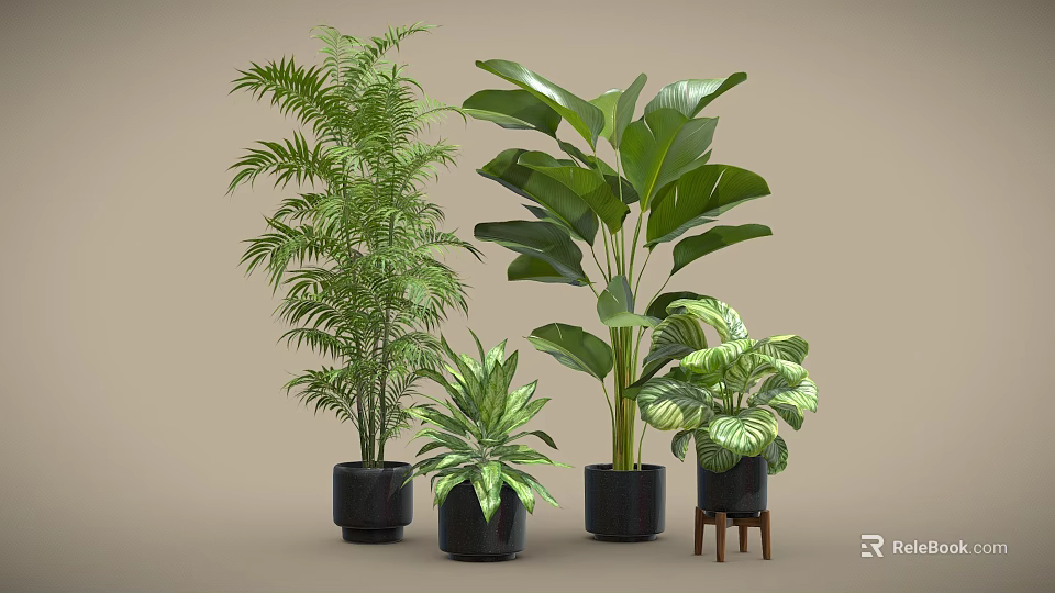 Indoor Potted Plants With Various Green Leaves In Black Pots And Small Stool 3d model 