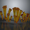 Yellow Conical Equipment With Brown Tops Arranged In Reflective Display Setup