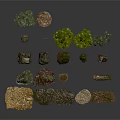Various Natural Wood And Stone Samples With Green Plants Collection