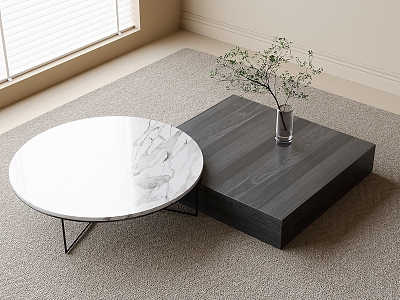 Modern coffee table model