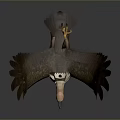 Majestic Eagle With White Head And Brown Wings Spreading In Flight