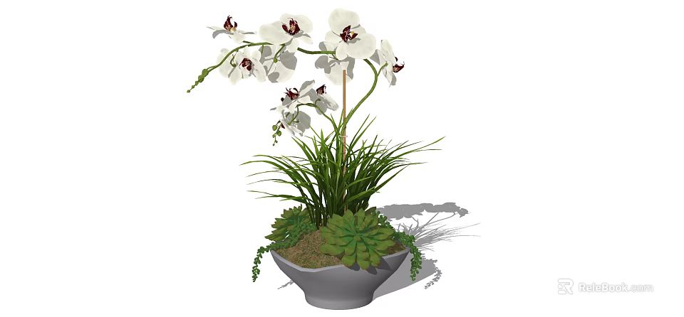 Decorative Bonsai Plant With White Orchids Green Succulents And Gray Pot 3d model 