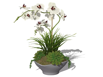 Decorative Bonsai Plant With White Orchids Green Succulents And Gray Pot 3d model