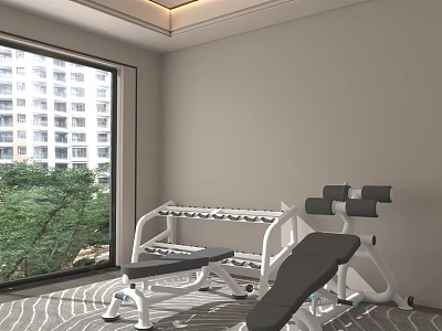 Modern Indoor Gym Setup With Dumbbell Rack Weight Bench And Large Window 3d model