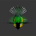 Colorful Bird With Spread Wings Black Head White Neck Yellow Belly Green And White Wings