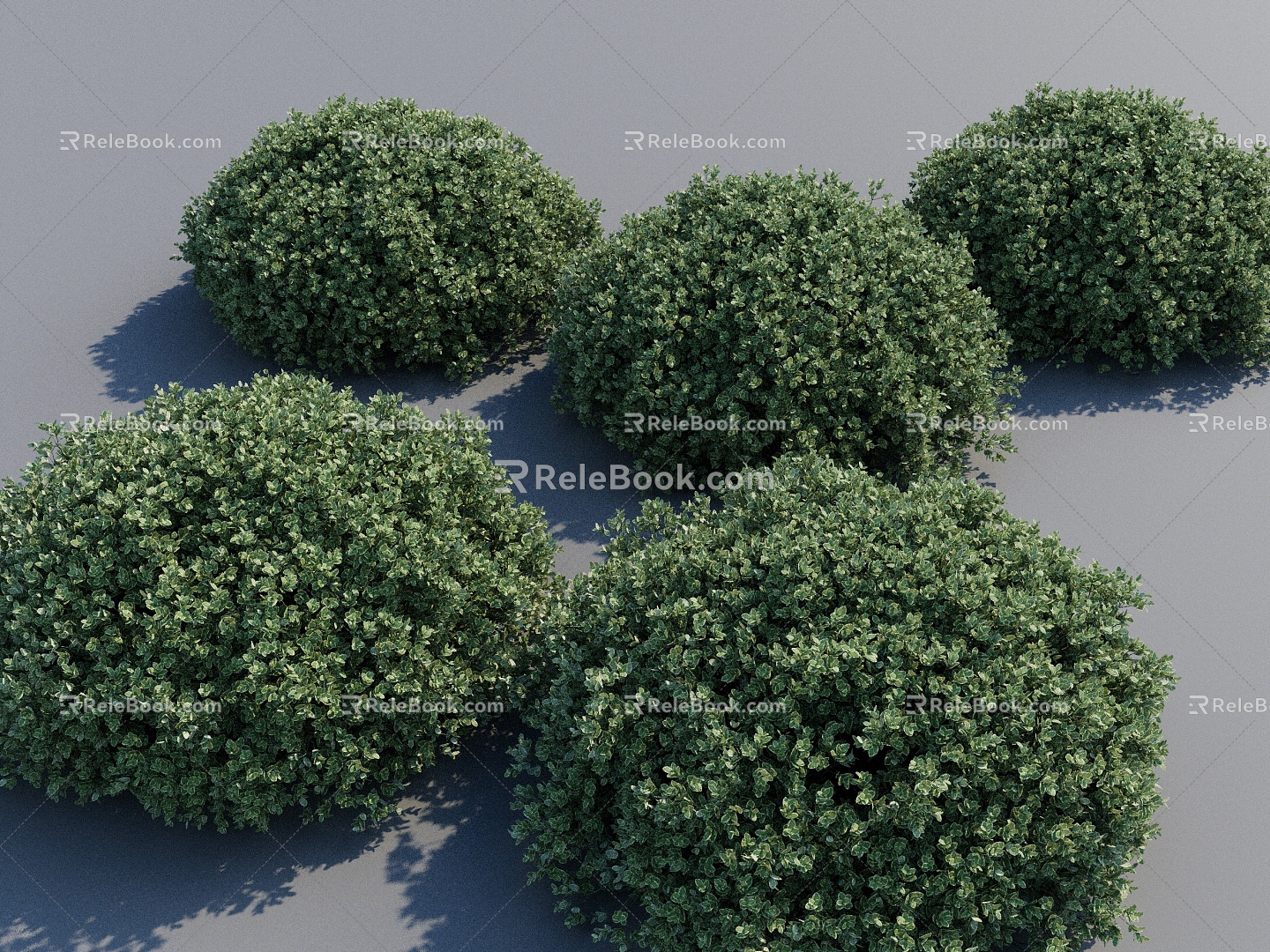 Garden Shrubs Greening Plants Courtyard Plants Garden Plants Shrubs 3d model