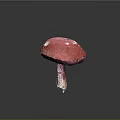 Vibrant Red Mushroom Plant with White Spots on Surface and Dark Background