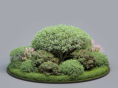 Beautiful Circular Garden Shrub Display With Various Green Foliage Shrubs And Pink Flowers 3d model