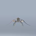 Fresh Whole Crayfish With Colorful Shell And Long Antenna For Seafood Dishes