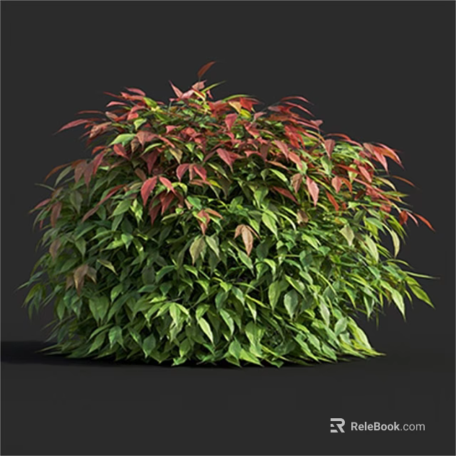 Lush Rounded Shrub With Green And Red Leaves Against Black Background 3d model 