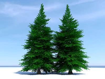 Two Tall Green Evergreen Trees Standing Under Blue Sky With Snowy Ground 3d model