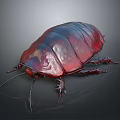 Shiny Red and Black Cockroach 3D Rendering with Detailed Exoskeleton on Dark Background 3d model