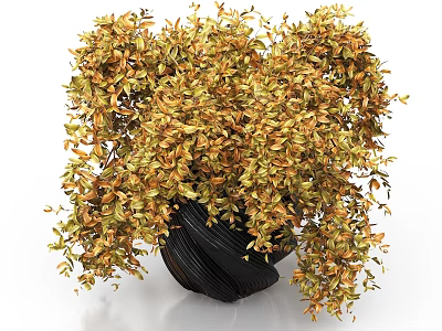 Beautiful Golden Green Hanging Leaves Arranged in Black Spiral Vase Decoration 3d model