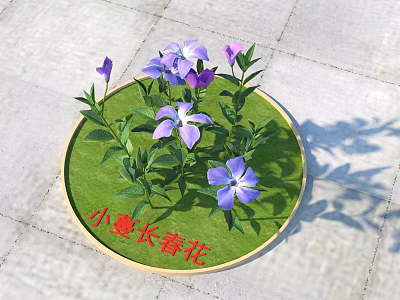 Beautiful Purple Periwinkle Flowers With Lush Green Leaves On Round Grass Mat 3d model