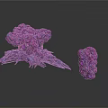 Purple Organ And Hair Resembling Structures With Large Base And Small Formation