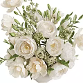Elegant White Flowers Arrangement In White Vase With Green Leaves And Small Blossoms