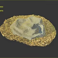 Natural Wood Stone Decorative Tabletop Piece With Light Center Stone And Colorful Chips