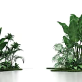 Natural Photo Spot With Lush Green Plants Large Leaves And Small Greenery In Grass Area