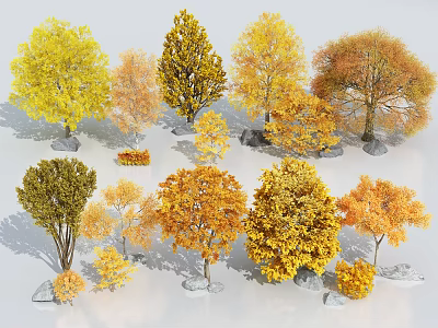 Different Kinds Of Autumn Trees Featuring Yellow Orange Foliage And Various Sizes 3d model