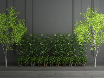 Lush Green Arbor Trees With Bamboo Plants Against Gray Wall And Floor 3d model