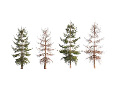 Arbor Trees Showing Lush Sparse and Withered Foliage in Different Growth States 3d model