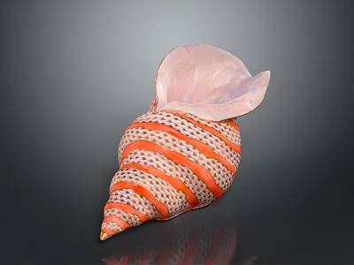 Marine Conch Animal Close Up View Of Shiny Spiral Shell With Orange And White Stripes 3d model