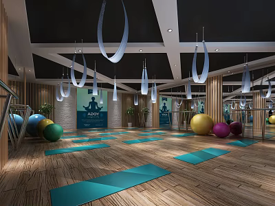 Fitness Studio Interior With Yoga Mats Fitness Balls Suspension Rings And Wooden Flooring 3d model