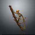 Detailed Mantis Skeleton Clinging to Natural Tree Branch with Realistic Features