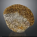 Natural Organ Structure and Hair like Fibers with Brown White Complex Textures
