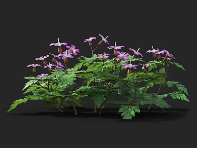 Vibrant Purple Flowers With Lush Green Leaves In Garden Cluster Growth 3d model