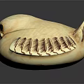 Flying Animal With Round Cream Colored Body And Dark Patterned Wings On Black Background