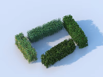 Neatly Trimmed Green Shrubs Forming Square Frame In Outdoor Landscape Design 3d model