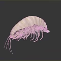 Game Movie Character White Striped Isopod Like Creature With Yellow Eyes And Multiple Legs