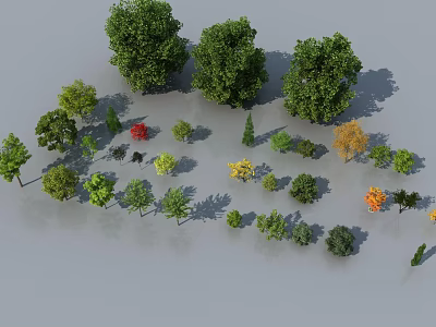 Beautiful Collection of Various Arbor Trees With Different Sizes and Colorful Leaves 3d model