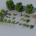 Beautiful Collection of Various Arbor Trees With Different Sizes and Colorful Leaves