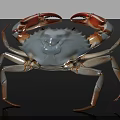 Blue Crab With Red Claws And Gray Body Isolated On Black Background
