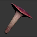 Vibrant Pinkish Purple Mushroom with Rounded Cap and Sturdy Stem on White Background
