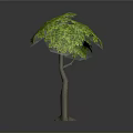 Green Tree with Umbrella Shaped Canopy and Brown Trunk on Gray Background