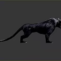 Fierce Mythical Beast Game Movie Character with Black Fur White Head Roaring Pose Sharp Teeth