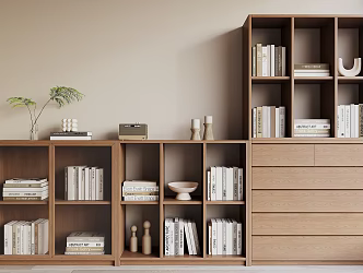 Modern bookcase 3d model