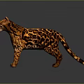 Realistic Spotted Wild Cat With Orange Black Fur Standing On Gray Background