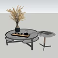 Modern Round Coffee Table Set With Vase Dry Flowers Tea Set And Side Table 3d model