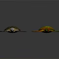 Colorful Sea Turtles With Vibrant Shells And Flippers On Dark Background
