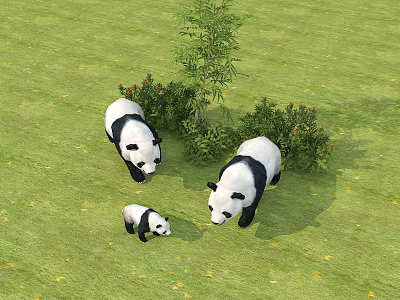 Cute Panda Family With Adult And Baby Playing On Green Grass Near Trees And Bushes 3d model