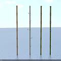 Different Colored Bamboo Plants Standing On Light Surface With Blue Sky And White Clouds