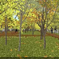 Beautiful Park Landscape With Sunlight Through Trees Green Grass Fallen Leaves And Wooden Walkway
