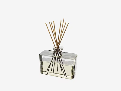 Bathroom Accessories Reed Diffuser with Transparent Glass Bottle and Essential Oil Sticks 3d model