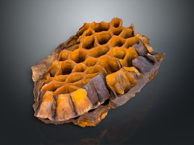 Honeycomb Honeyleaf Honeycomb Lotus Honeycomb Cave Honeycomb model