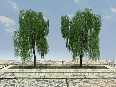 Two Weeping Willow Trees Standing On Stone Paved Ground With Blue Sky And Grass 3d model